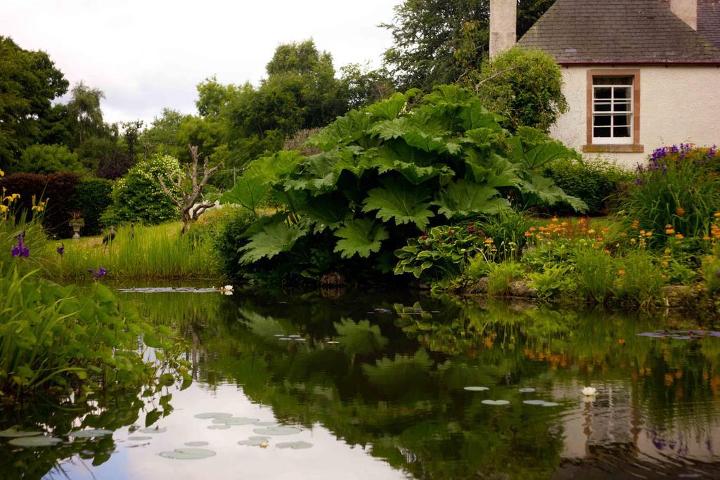 Hôtel The Dower House à Muir of Ord Chambre photo